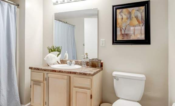 A bathroom with a toilet, sink, and shower curtain.