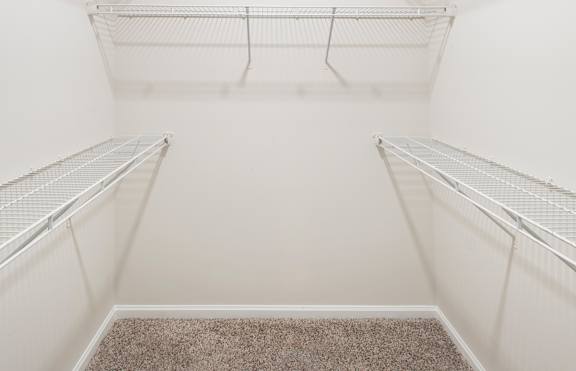 Empty walk-in closet with white walls and carpeted floor.