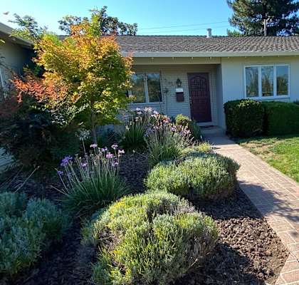 3440 Bruckner Circle, Mountain View, CA 94040front of the home with beautiful landscaping flowers bushes and a lawn
