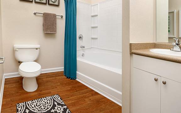 Model Bathroom