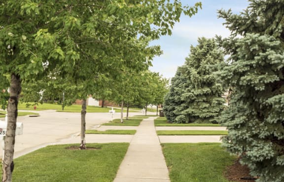 a sidewalk running through a park with trees