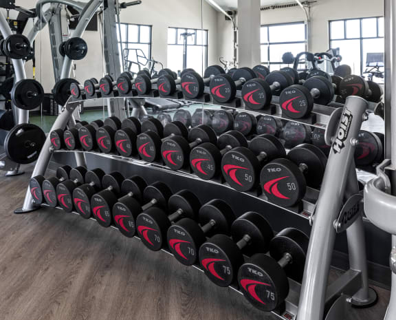a rack of dumbbells in a gym at Upland Flats, Colorado, 80922