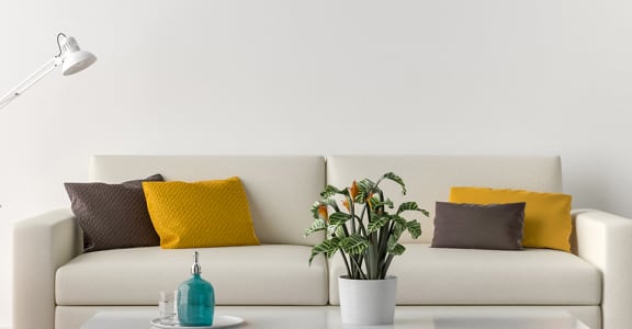 Living room with white couch, plant, and orange chair