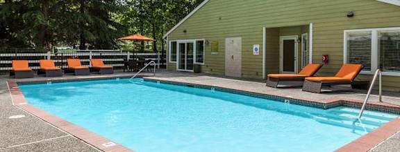 our apartments showcase a swimming pool