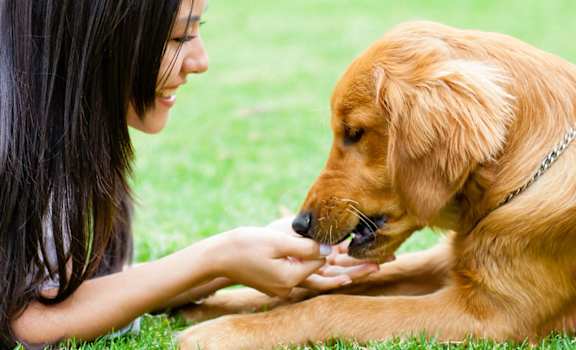 RiverWatch Pet-friendly Apartments