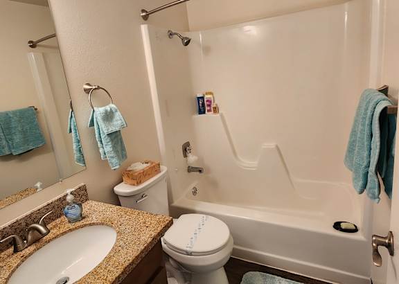 A white toilet sits next to a bathtub in a bathroom.