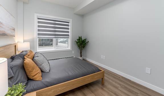 A bedroom with a bed, pillows, a nightstand, and a plant.