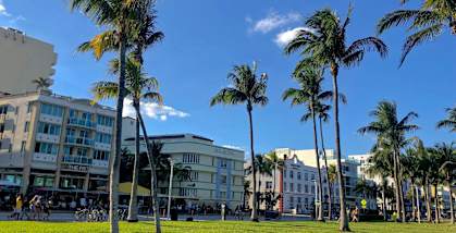 a city street with palm trees and buildings
