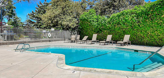 Swimming Pool surrounded by greenery at The Luxe, California