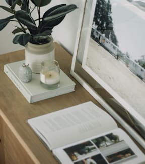 Apartment décor featuring a beach picture and plant representing the comfortable lifestyle at Willow Creek Apartments.
