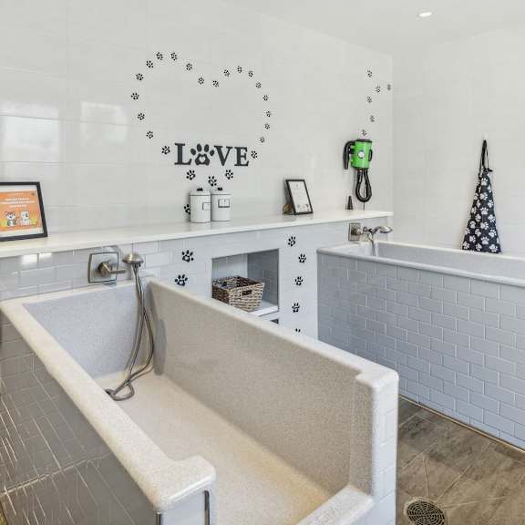 Pet SPa