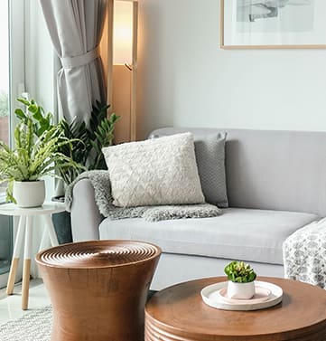 Sofa With Pillows, Coffee Table and Plants. 