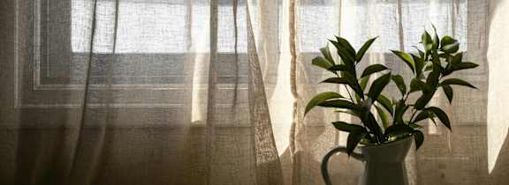 a living room with plants and a couch