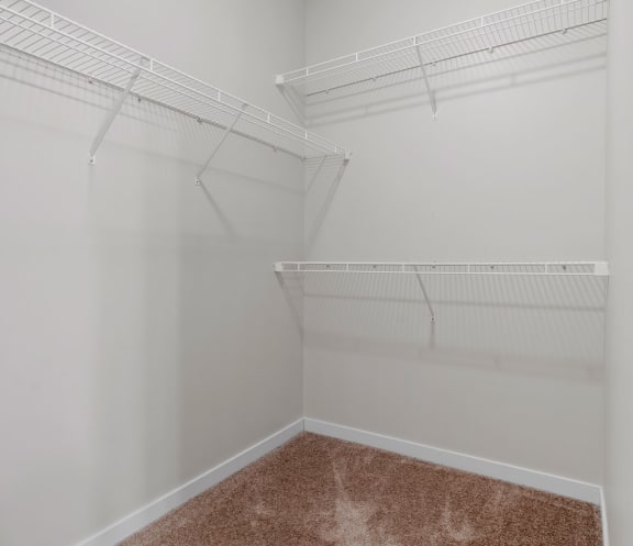 Walk-In Closet With Built-In Shelving