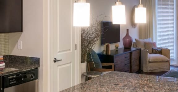 Granite Countertop Kitchen at Berkshire Ninth Street, North Carolina