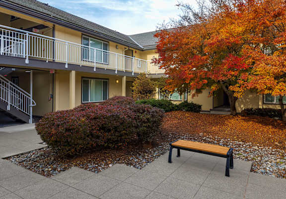 A tree with orange leaves is in front of a building with a bench in front of it.