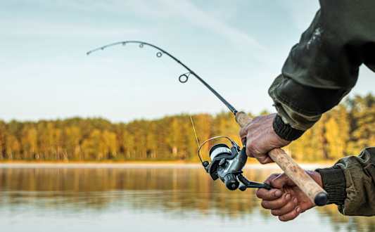 A person is holding a fishing rod with a lake and trees in the background.