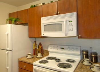 Brandywine Apartments Kitchen Tampa, FL