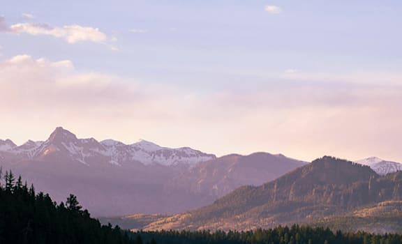 A mountain range with snow capped peaks and a forest in the foreground.