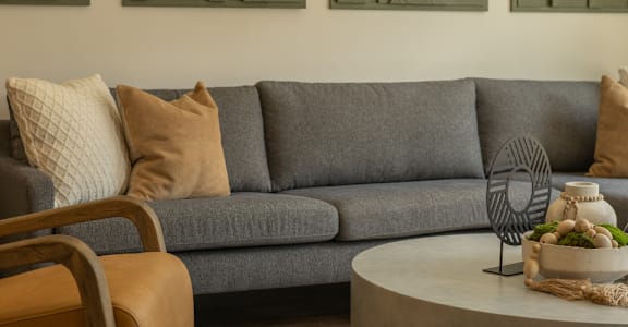 a living room with a gray couch and a coffee table