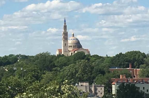 Roof Deck View