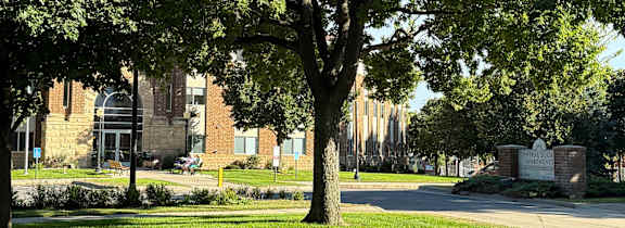 A tree in front of a brick building with a sign that says