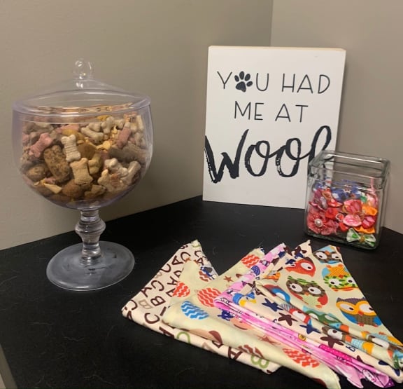 Pet Friendly Apartments at The Grand, Kansas City