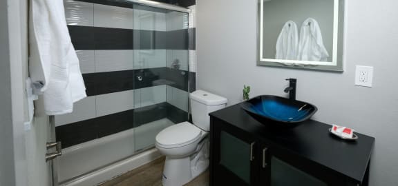 Bathroom in Mandarin Bay apartments in Jacksonville, FL with black and white tiled shower, modern basin sink, and lit vanity mirror.