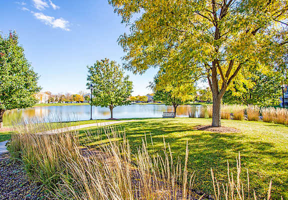 Lake With Lush Natural Surrounding at Williams Reserve, Illinois