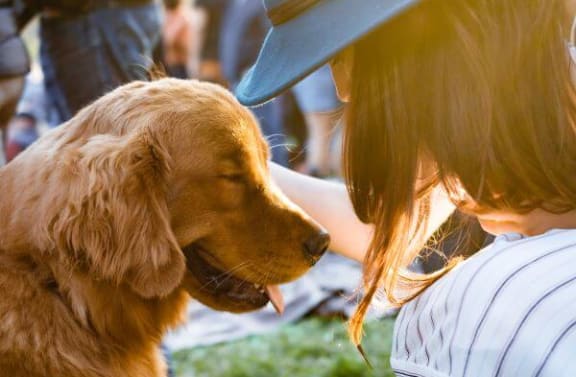 a woman and a dog are looking at each other