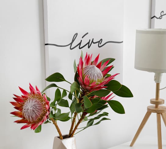 a white nightstand with a white lamp and a vase with red protea flowers at Chambers Creek Estates, University Place