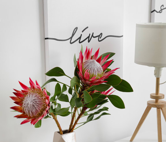 a white nightstand with a white lamp and a vase with red protea flowers at Chambers Creek Estates, University Place
