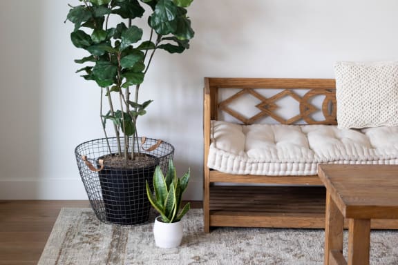 a living room with a couch and a potted plant