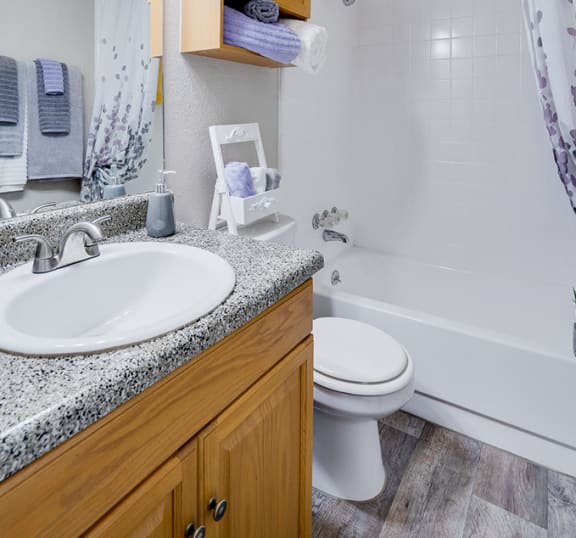 Bathroom with Storage Cabinet Above the Toilet