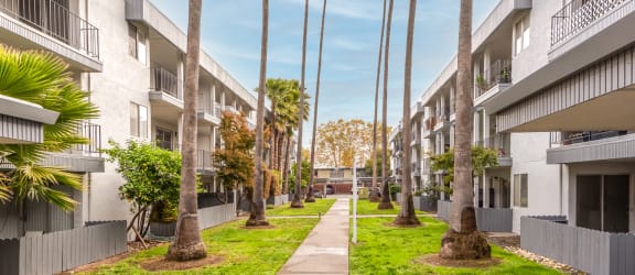 a pathway lined with palm trees in the middle of an apartment complex