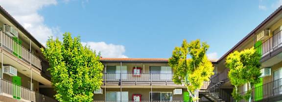 dog sleeping on bed at Dwell Apartment Homes, California
