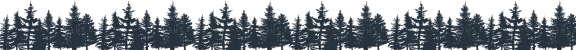 an illustration of a forest of trees in the dark