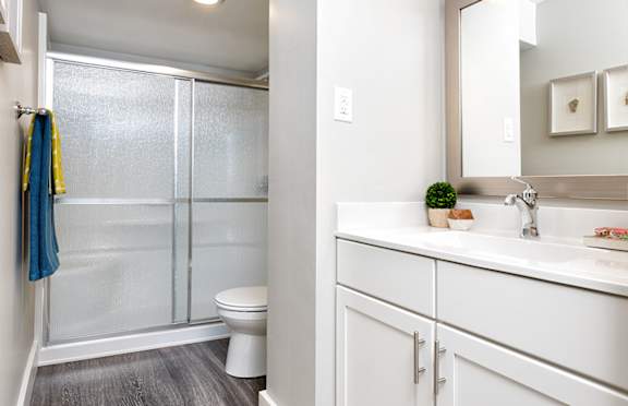 a bathroom with a shower toilet and sink and a mirror