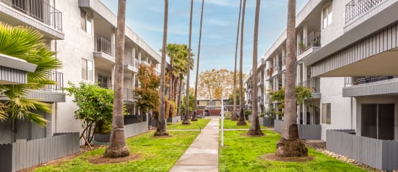 a pathway lined with palm trees in the middle of an apartment complex