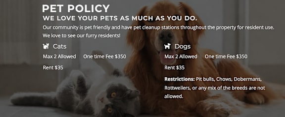 A pet policy page with a cat and dog image and information about pet rentals and restrictions.