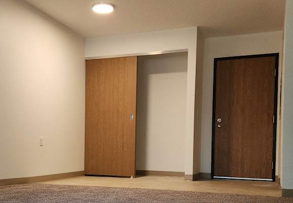 an empty living room with carpet and a door to a closet
