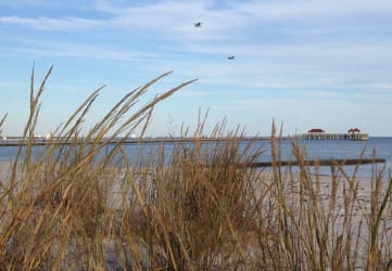 View of beach and ocean