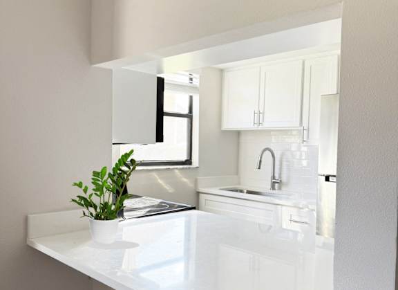A white countertop with a plant on it.