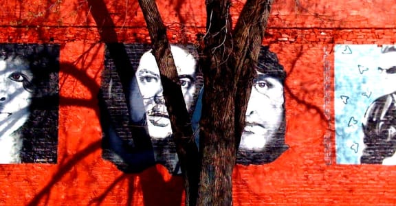 a red wall with four pictures on it and a tree in front of it