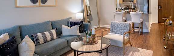 spinnaker bay at harbor east- banner