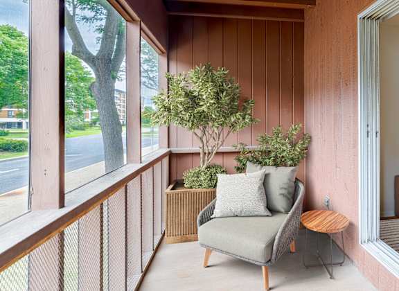 A balcony with a chair and a small tree.