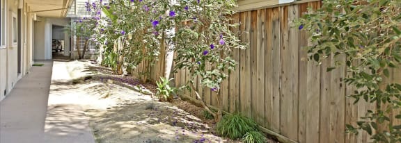 Woodside Court Apartments in Redwood City CA