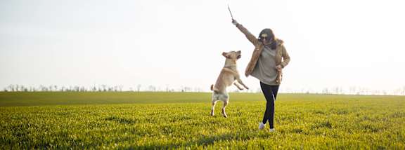 A woman is playing with her dog in a field.