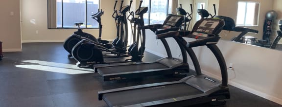 a row of treadmills in a gym with a large mirror on the wall