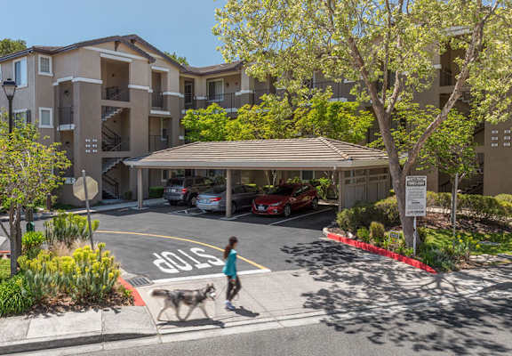 A woman walking her dog in front of apartment buildings.